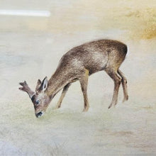 Load image into Gallery viewer, A lovely original drawing of a deer in the forest by wildlife artist Robert Fletcher