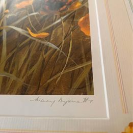 A field of buttercups with butterflies by Mary Dipnall pencil signed lower right