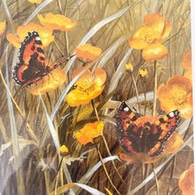 Load image into Gallery viewer, A field of buttercups with butterflies by Mary Dipnall pencil signed lower right