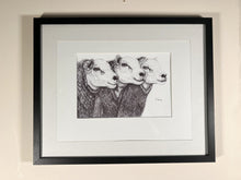 Load image into Gallery viewer, Embrace The Charm Of These Three Enchanting Sheep In Black And White