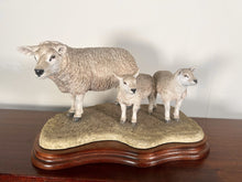 Load image into Gallery viewer, Border Fine Arts ‘Texel Ewe And Lambs’ By Jack Crewdson B0658 Limited Edition