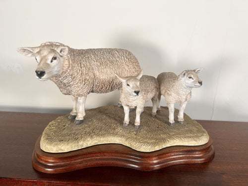 Border Fine Arts ‘Texel Ewe And Lambs’ By Jack Crewdson B0658 Limited Edition