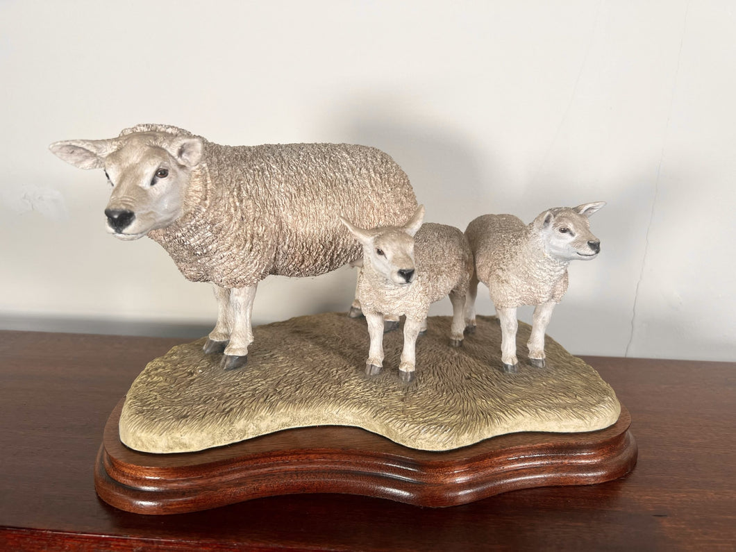 Border Fine Arts ‘Texel Ewe And Lambs’ By Jack Crewdson B0658 Limited Edition