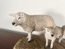 Load image into Gallery viewer, Border Fine Arts ‘Texel Ewe And Lambs’ By Jack Crewdson B0658 Limited Edition