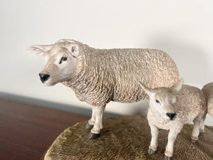 Border Fine Arts ‘Texel Ewe And Lambs’ By Jack Crewdson B0658 Limited Edition