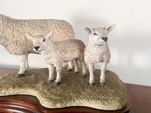 Load image into Gallery viewer, Border Fine Arts ‘Texel Ewe And Lambs’ By Jack Crewdson B0658 Limited Edition