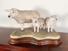 Load image into Gallery viewer, Border Fine Arts ‘Texel Ewe And Lambs’ By Jack Crewdson B0658 Limited Edition