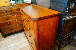 Scotch mahogany chest of drawers with original wooden turned handles just stunning