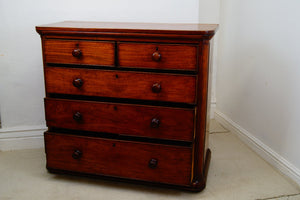 Scotch mahogany chest of drawers with original wooden turned handles just stunning