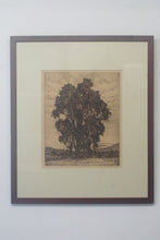 Load image into Gallery viewer, An etching by Luigi Lucioni circa 1930 signed in pencil lower right printed in black on laid paper