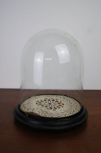 Vintage circular glass display cloche with base in gorgeous condition