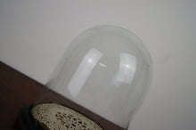 Load image into Gallery viewer, Vintage circular glass display cloche with base in gorgeous condition